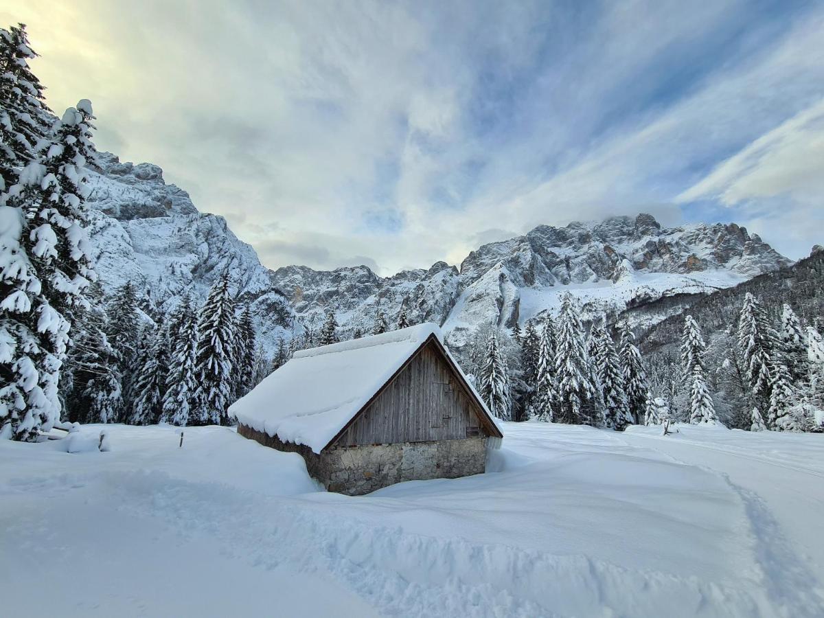 Chalet Camporosso Camporosso  Bagian luar foto