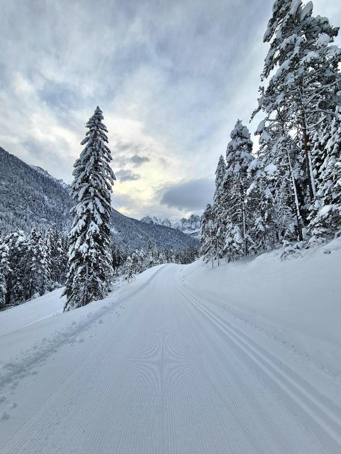 Chalet Camporosso Camporosso  Bagian luar foto